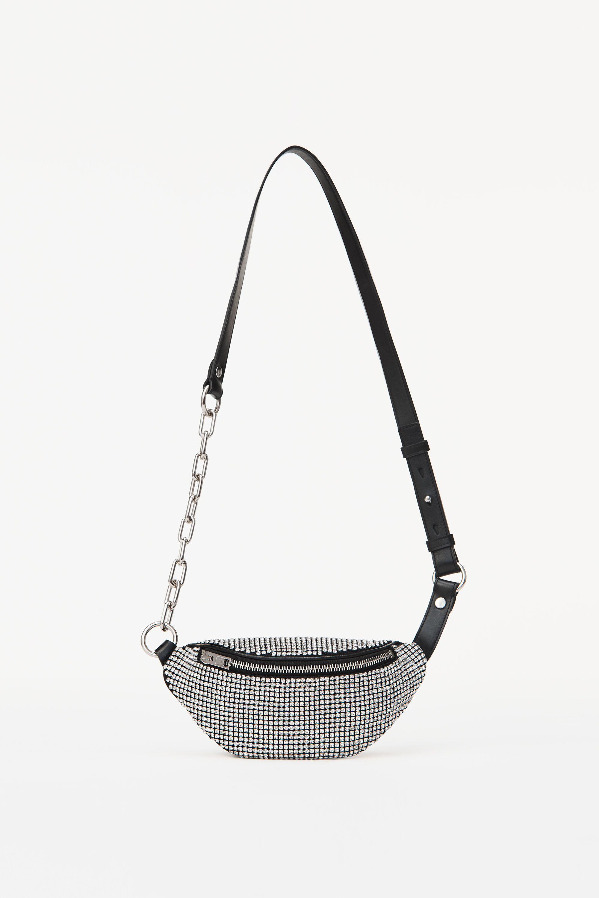 alexander wang glitter bag